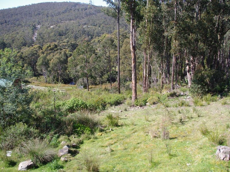 31 Tramway Crescent, Margate TAS 7054