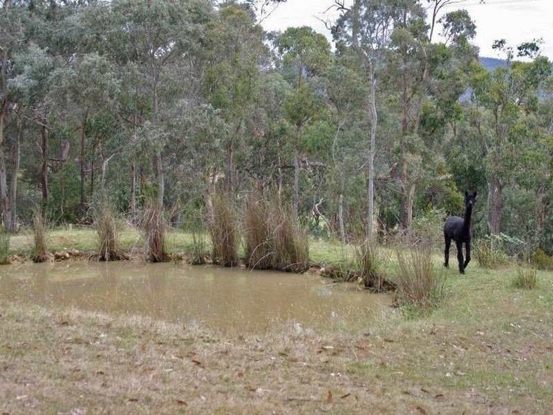 35 Hickmans Road, Margate TAS 7054