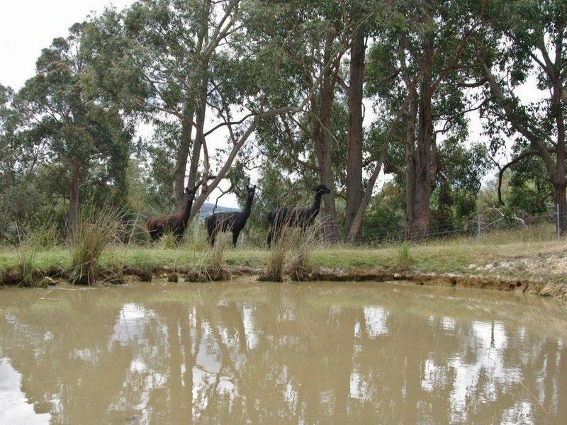 35 Hickmans Road, Margate TAS 7054