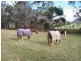 Lot 2 Watsons Road, Kettering TAS 7155