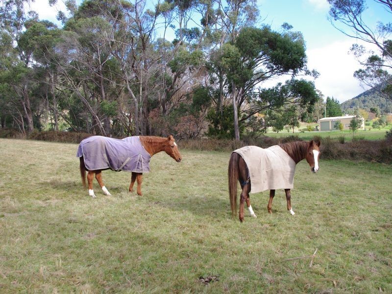 Lot 2 Watsons Road, Kettering TAS 7155