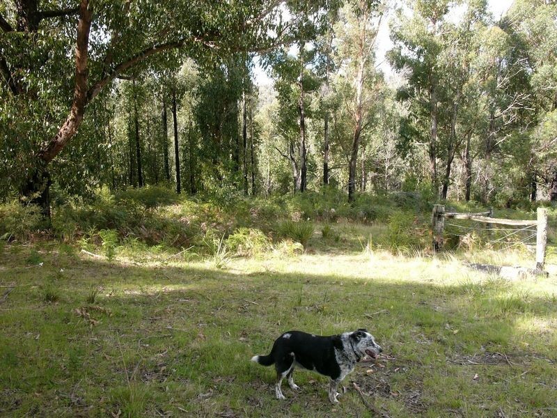 Lot 1 434 Old Station Road, Oyster Cove TAS 7150