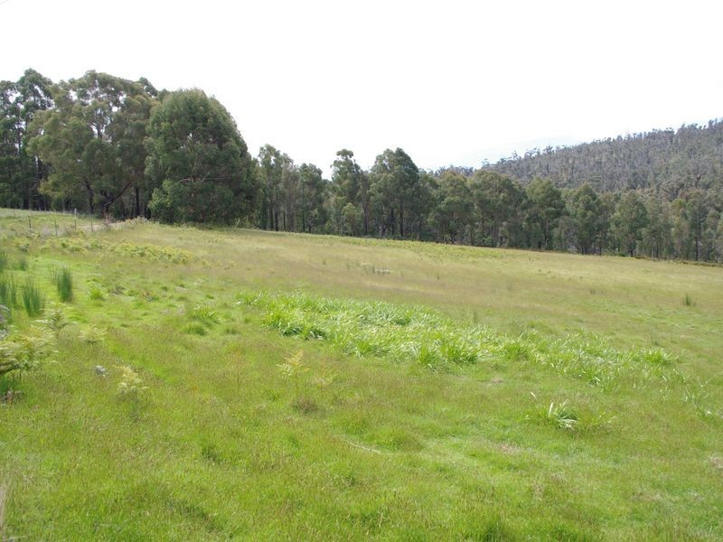 Lot 1 434 Old Station Road, Oyster Cove TAS 7150