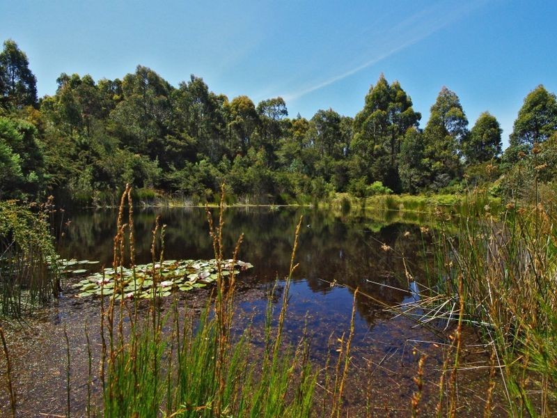 440 Woodbridge Hill Road, Woodbridge TAS 7162