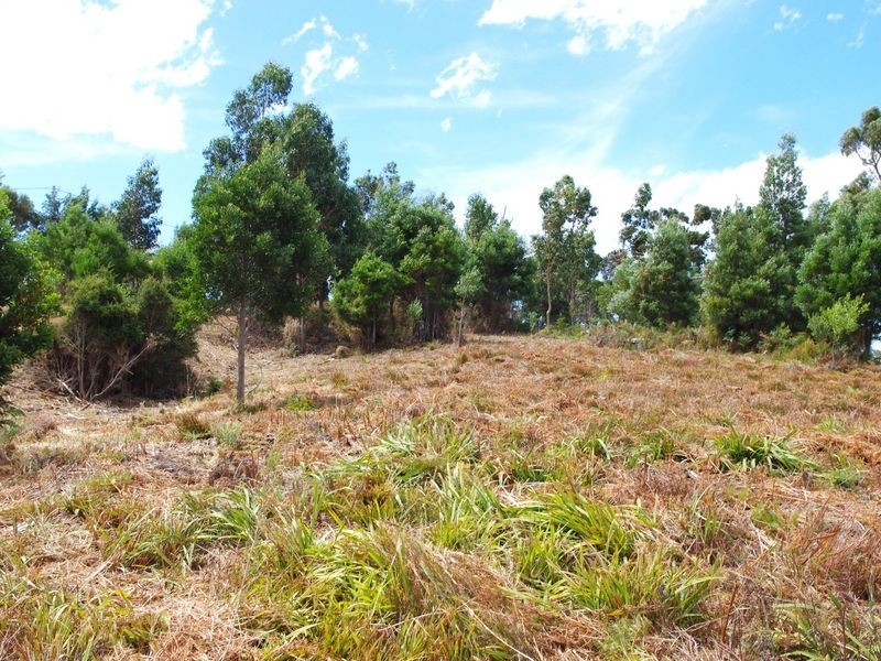 Lot 2 Kregors Road, Gordon TAS 7150
