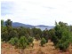 Lot 3 Kregors Road, Gordon TAS 7150