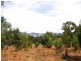 Lot 3 Kregors Road, Gordon TAS 7150