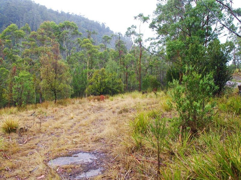 Lot 2 Pelverata Road, Pelverata TAS 7150