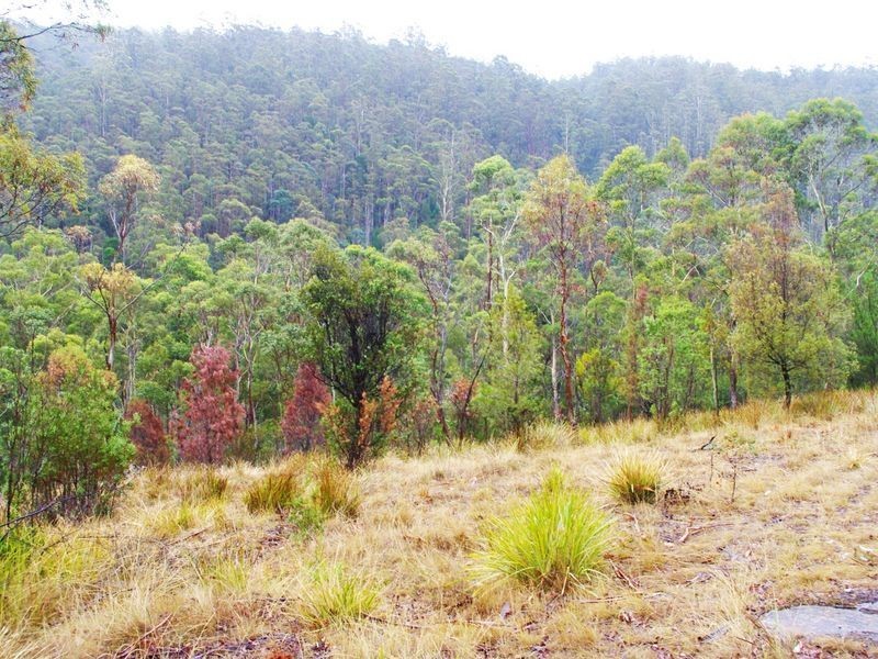 Lot 2 Pelverata Road, Pelverata TAS 7150