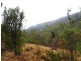 Lot 2 Pelverata Road, Pelverata TAS 7150