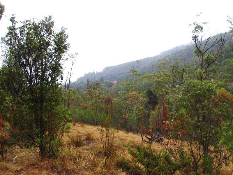 Lot 2 Pelverata Road, Pelverata TAS 7150