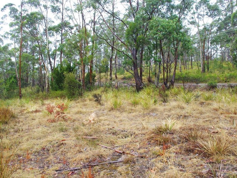 Lot 2 Pelverata Road, Pelverata TAS 7150