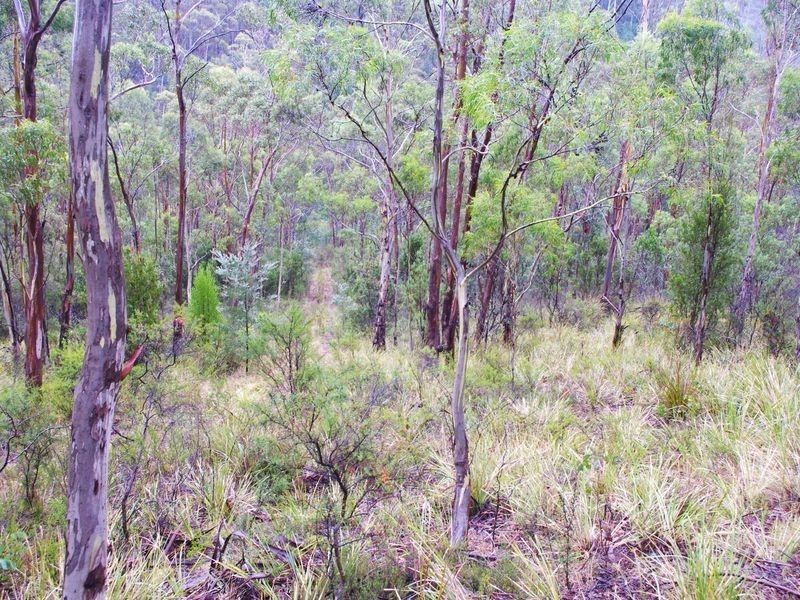 Lot 2 Pelverata Road, Pelverata TAS 7150
