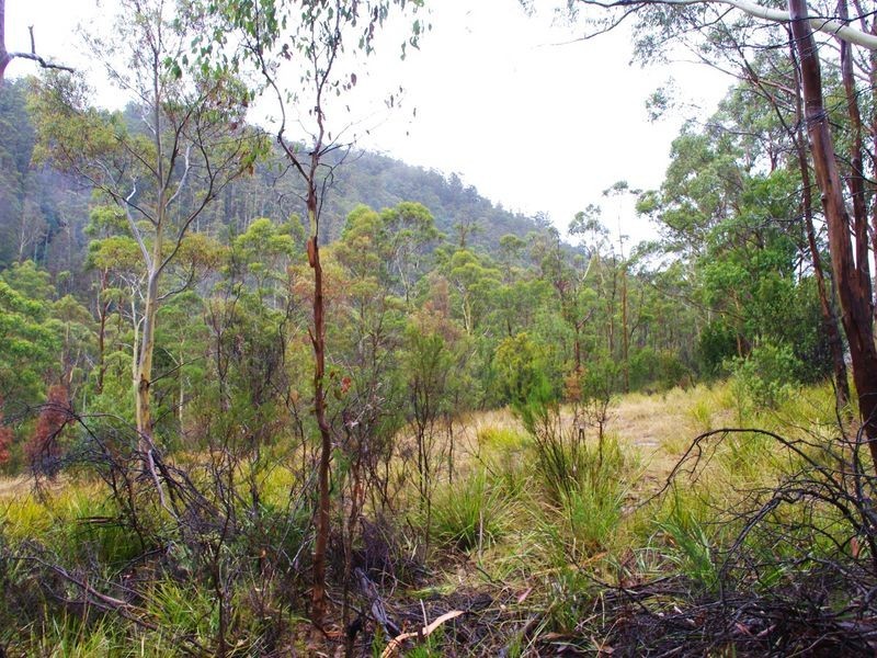 Lot 2 Pelverata Road, Pelverata TAS 7150