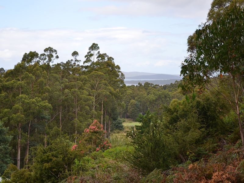 119 Coxs Road, Middleton TAS 7163