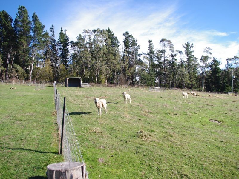 24 Chandlers Road, Margate TAS 7054