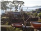 246 Coningham Road, Coningham TAS 7054