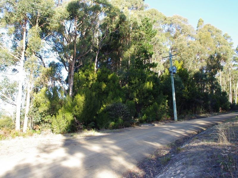 Channel Highway, Flowerpot TAS 7163