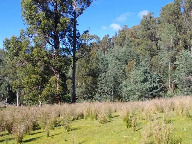 307 Snug Tiers Road, Snug TAS 7054