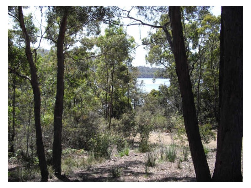 174 Manuka Road, Oyster Cove TAS 7150