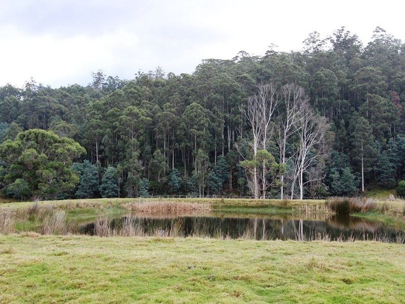 990 Woodbridge Hill Road, Gardners Bay TAS 7112