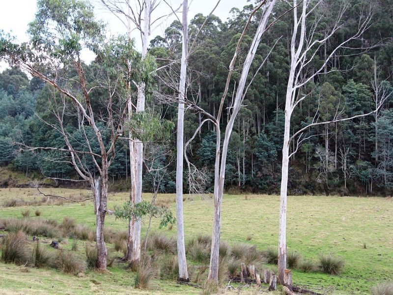 990 Woodbridge Hill Road, Gardners Bay TAS 7112