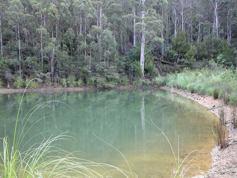 175A Llantwit Road, Woodbridge TAS 7162