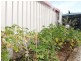 32 Adelong Drive, Kingston TAS 7050