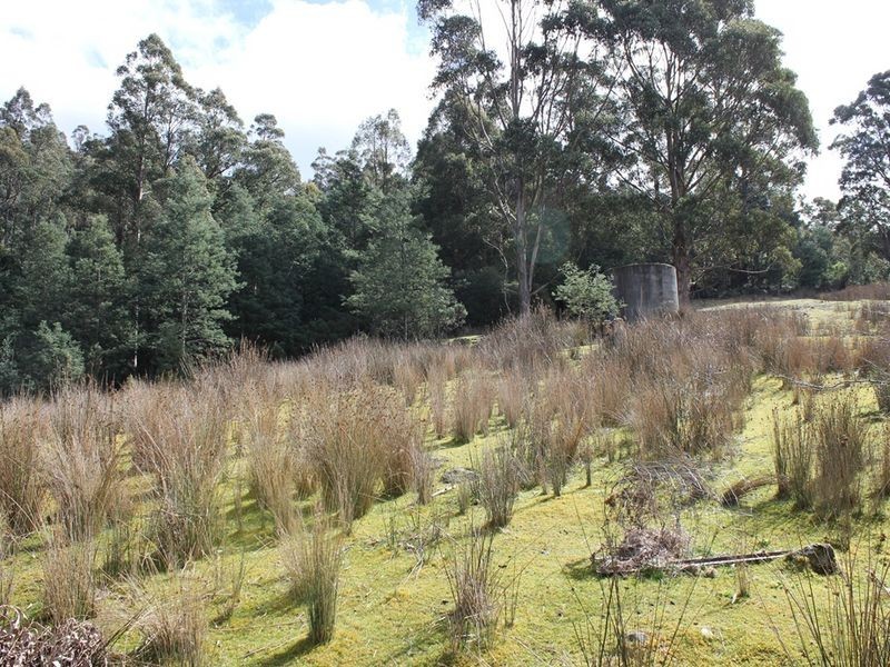 Lot 2 Snug Tiers Road, Snug TAS 7054