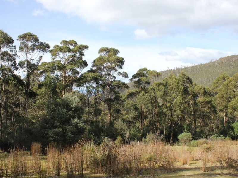 Lot 2 Snug Tiers Road, Snug TAS 7054