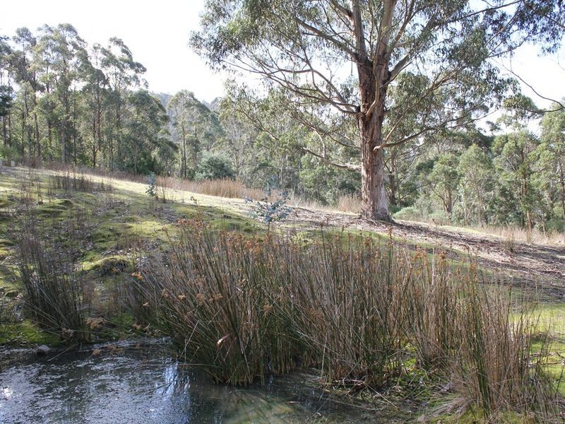 Lot 2 Snug Tiers Road, Snug TAS 7054