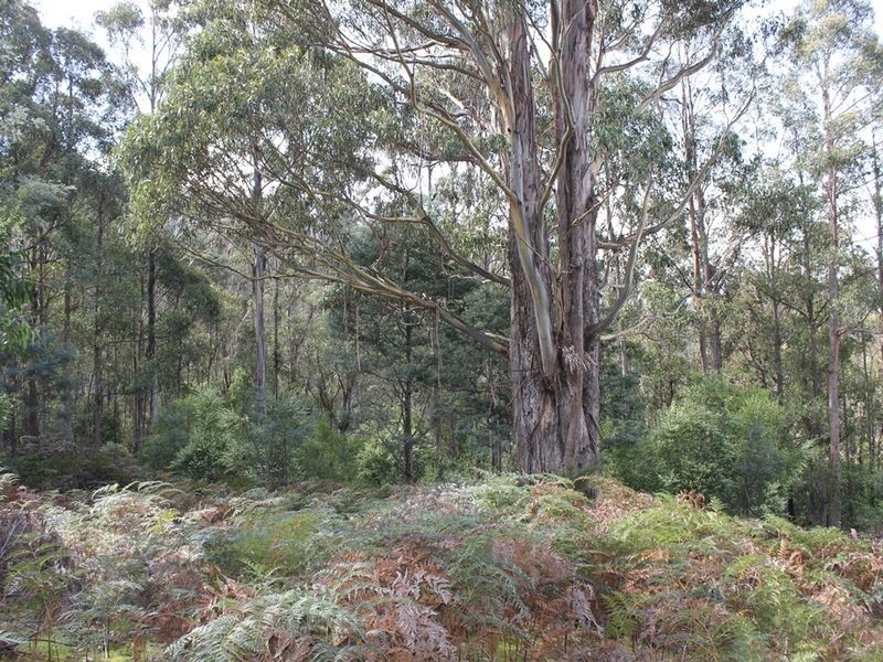 Lot 2 Snug Tiers Road, Snug TAS 7054