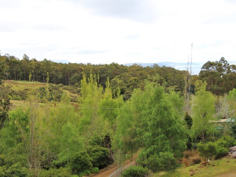 123 Gallaghers Road, Flowerpot TAS 7163
