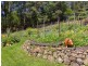 470 Nierinna Road, Margate TAS 7054