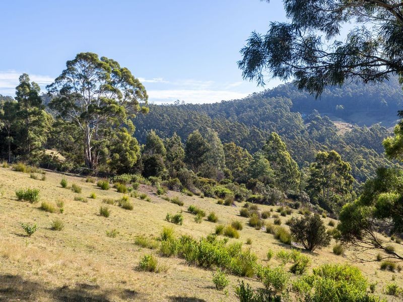 196 Gumpits Road, Birchs Bay TAS 7162