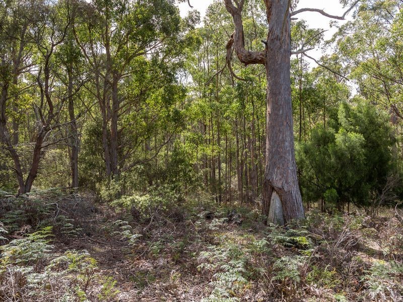 Lot 1 & Lot 2 Jarvis Road, Snug TAS 7054