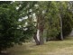 58 Hutchins Street, Kingston TAS 7050