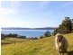 61 Websters Road, Gordon TAS 7150
