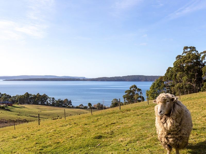 61 Websters Road, Gordon TAS 7150