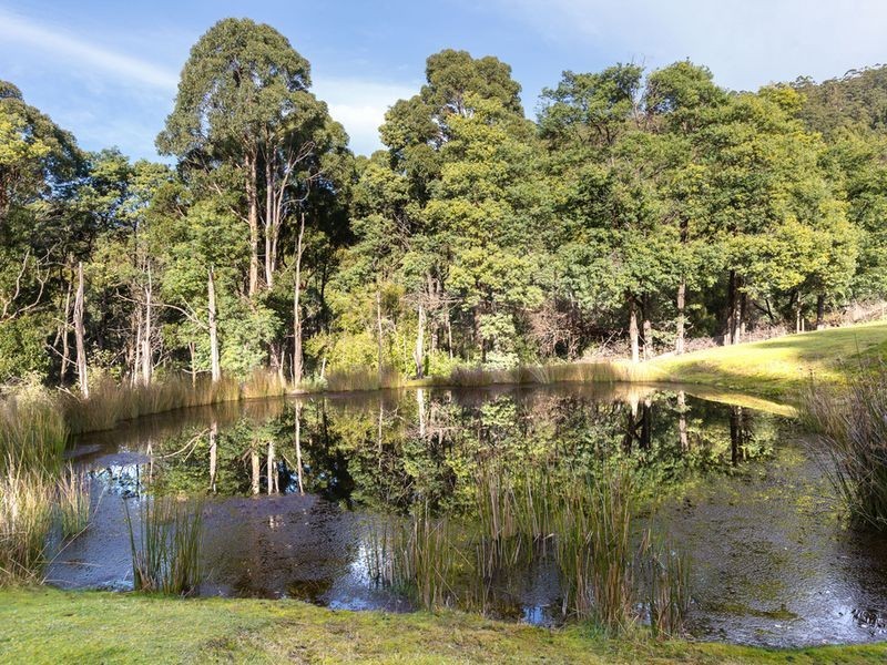 61 Websters Road, Gordon TAS 7150