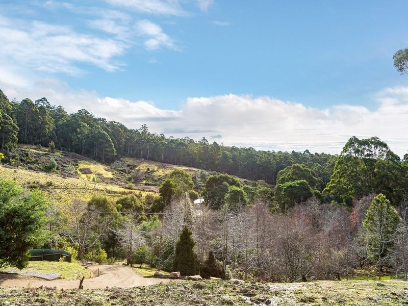 99 Gallaghers Road, Flowerpot TAS 7163