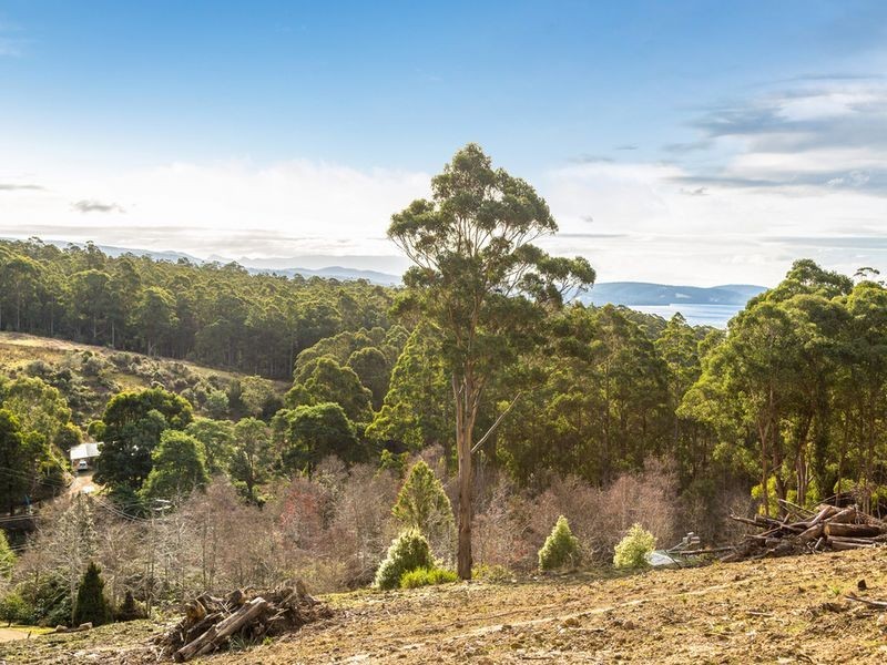 99 Gallaghers Road, Flowerpot TAS 7163