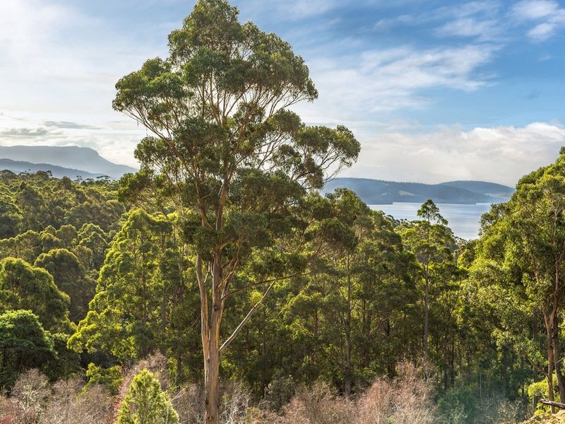 99 Gallaghers Road, Flowerpot TAS 7163