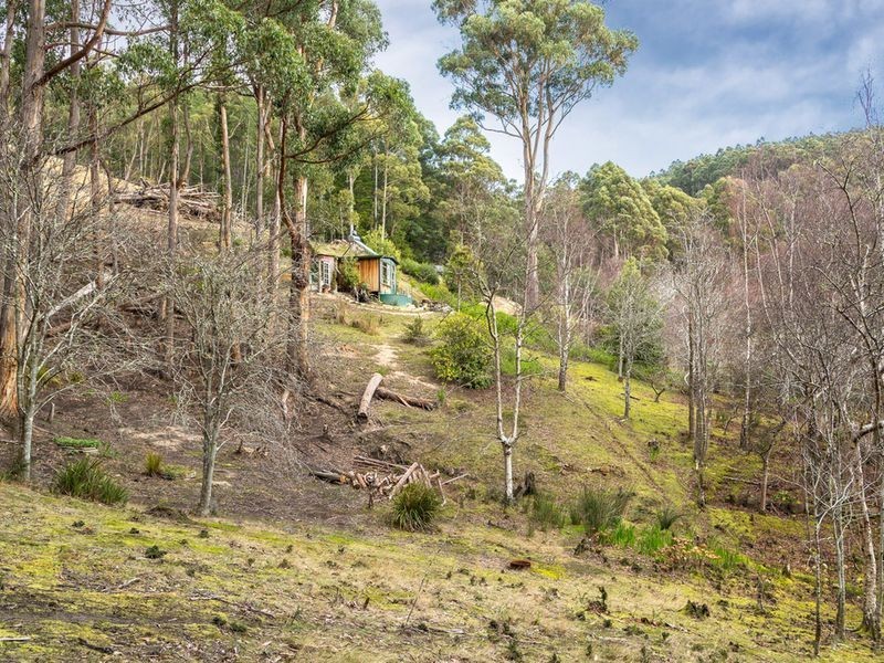 99 Gallaghers Road, Flowerpot TAS 7163