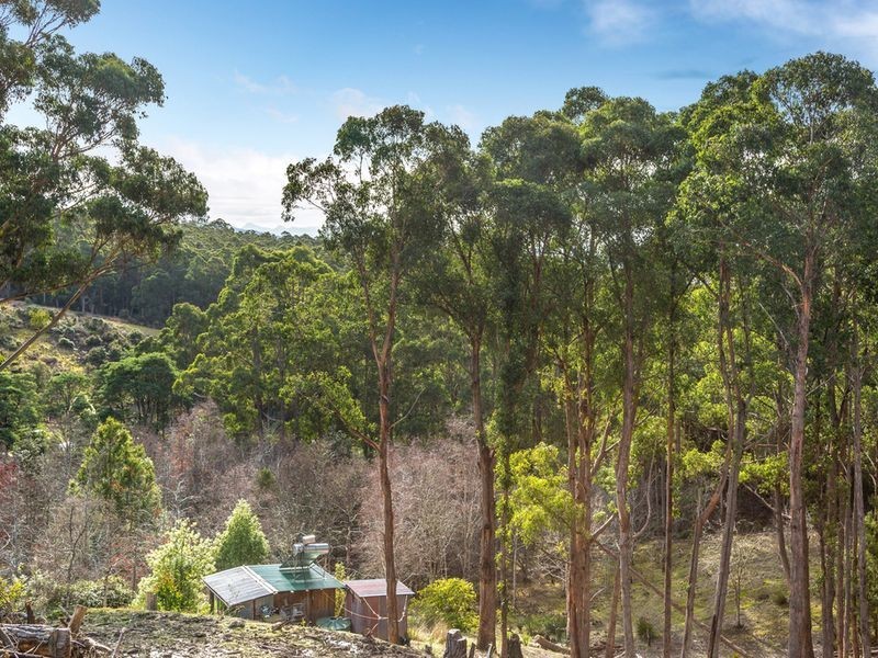 99 Gallaghers Road, Flowerpot TAS 7163