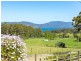 11 Moores Road, Middleton TAS 7163