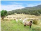 155 Vinces Saddle Road, Sandfly TAS 7150