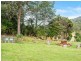 155 Vinces Saddle Road, Sandfly TAS 7150