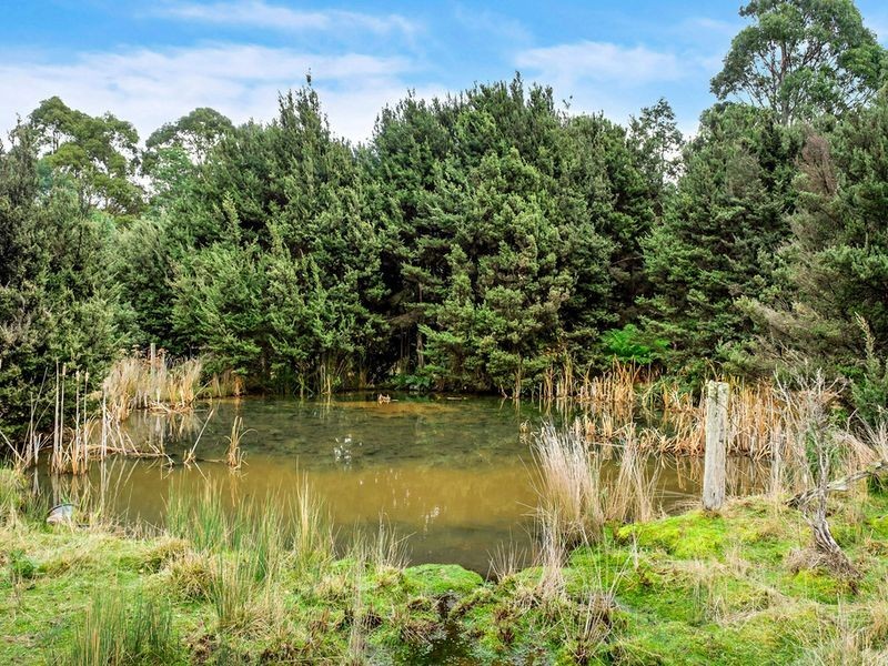 155 Vinces Saddle Road, Sandfly TAS 7150