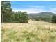 155 Vinces Saddle Road, Sandfly TAS 7150
